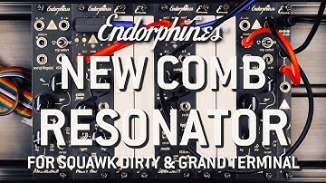 Squawk Dirty / Grand Terminal - Updated Comb Filter Resonator