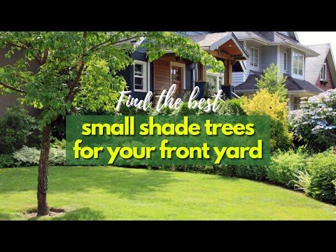 Video: Small Ornamental Trees for Shade - What Ornamental Trees Like Shade