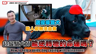 退役導盲犬幫人卻無法自救✨超級馴犬師能逆轉他的命運嗎?How to help a guide dog coping with retirement?