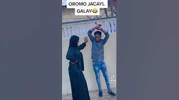Wiil Oromo Ah Iyo Gabar Somali Ah Maxaa Kala Qabsaday 