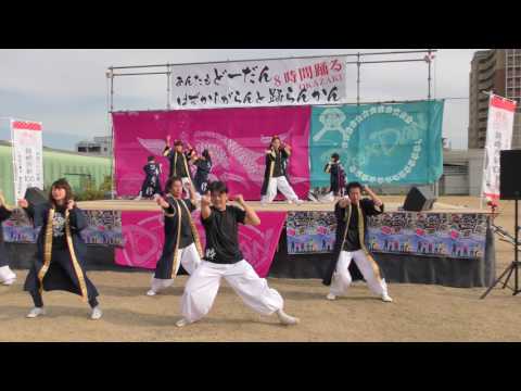 「 音神 」あんたもどーだんはずかしがらんと踊らん会2016