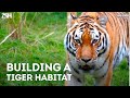 Building our Tigers New Home! - Paradise Wildlife Park.