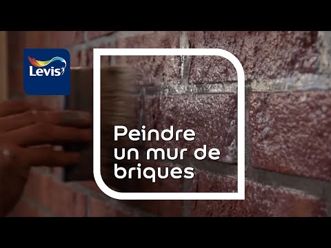 Vidéo: Peindre un mur de briques : instructions étape par étape
