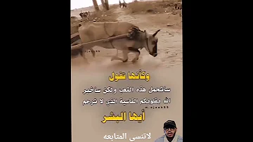 لاحولة ولا قوة الى بالله Reelyoutube Reels Youtubeshorts Reaction Explorepage Explore 