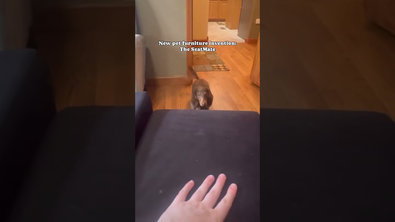 New pet furniture invention - Preorder and Save 35% 