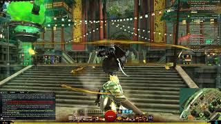 Guild Wars 2 End of Dragons - Camera bug