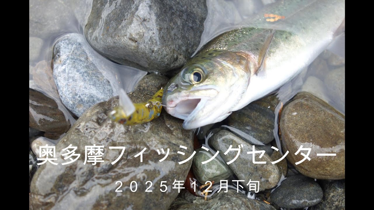 奥多摩フィッシングセンター    ２０２５年１２月下旬