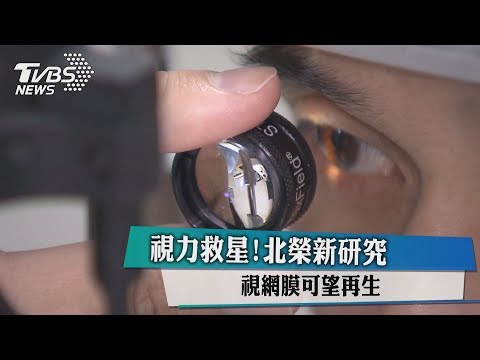 視力救星！北榮新研究、視網膜可望再生