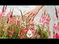 Indie/Pop/Folk Compilation - May 2021 (1½-Hour Playlist)