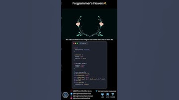 🌸 Programmer