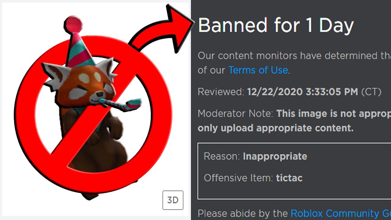 fui banido do roblox por 1 dia｜Pesquisa do TikTok