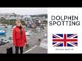 Americans First Impressions of Wales! (New Quay Dolphin Spotting With CRAZY Welsh locals 😹)