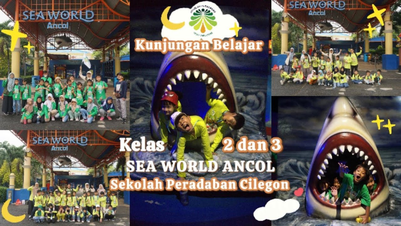Kunjungan Belajar ke Sea World Ancol | Kelas 2 dan 3