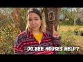 How to have more pollinators in your garden (creating overwintering habitat for beneficial insects)