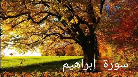 سورة إبراهيم كاملة بصوت الشيخ خالد الجليل