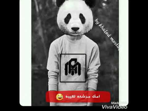 حالات واتس حمو بيكا