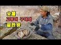 고등어 구이의 끝판왕.#고등어구이