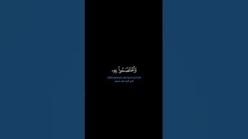 سورة النساء: الآيات [ ١٧٤-١٧٥ ] #القرآن_الكريم #الفرقان #سورة_النساء #محمد_اللحيدان#قرآن#qurankareem