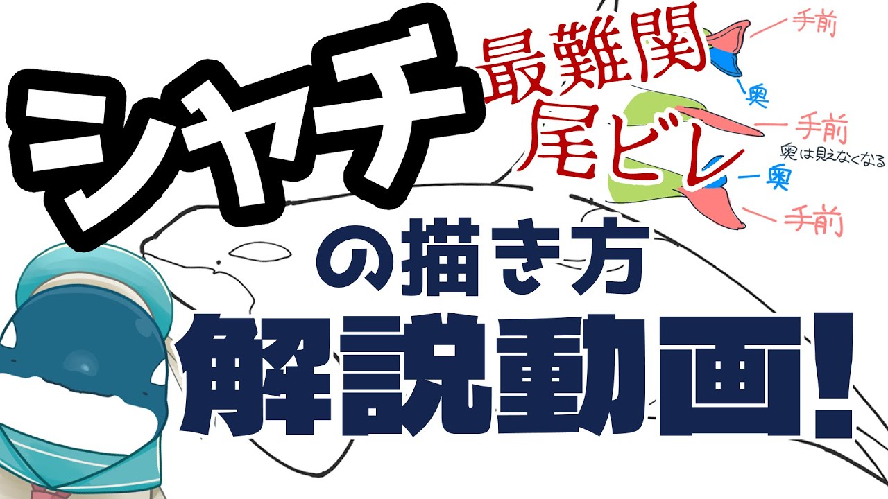 シャチの目ってどこ？ – シャチ 全体図 – シャチの目の近くにはなぜいつも白い斑点があるのでしょうか? – MYPBFT
