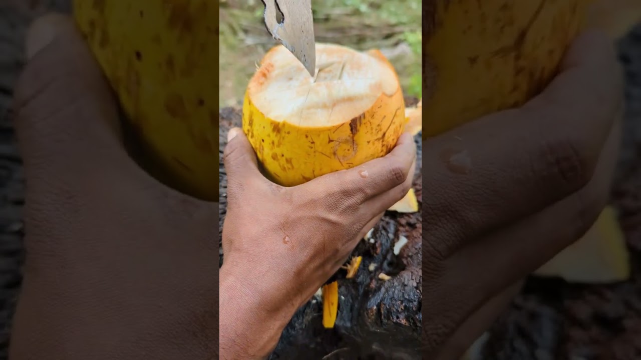 Pure King Coconut Refreshment 