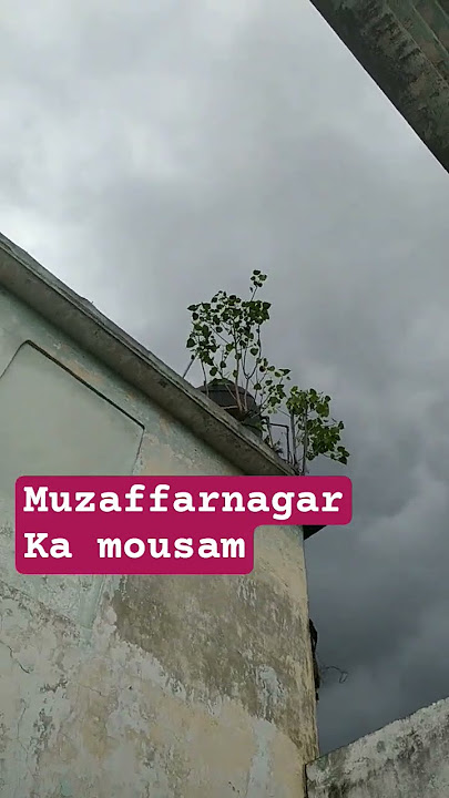 jo bhi mere video dekh raha hai woh btao kaha se dekh raha or kaisa mousam hai tumhare yaha#shorts
