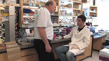 UBC Killam Award for Excellence in Mentoring 2010