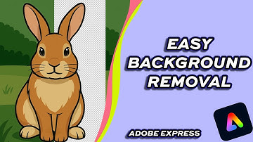 How to Remove the Background from a Picture in Adobe Express