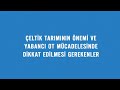 テ Ltikte En Sトアk Gテカrテシlen Yabancトア Ot Tテシrleri Nelerdir テ Ltikte En Sトアk Gテカrテシlen Yabancトア Ot Tテシrleri Nelerdir