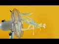 Continuous Fan Sound for Peaceful Rest | White Noise For Superb Slumber, Studying & Relaxation
