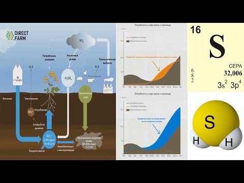 Круговорот серы и потребность культур в течение вегетации