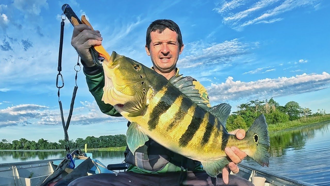 O MAIOR TUCUNARÉ AZUL QUE JÁ PESQUEI NESSA LAGOA!!! PESCARIA NO RIO PARANÁ!!!