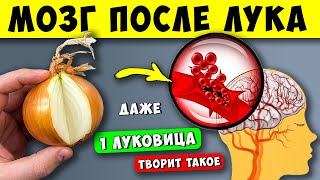 Вот она - правда! Реакция Мозга на ЛУК вас удивит!