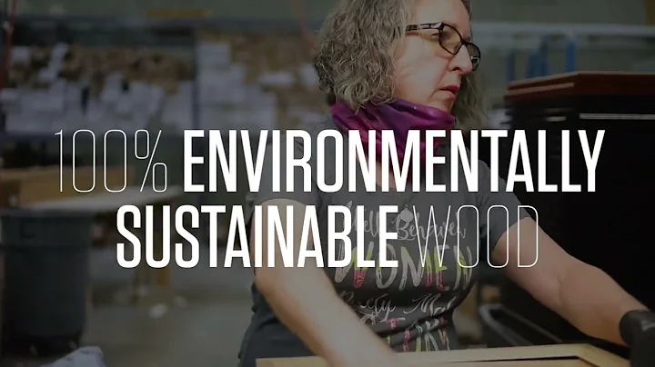 Framing Success College Diploma Frames