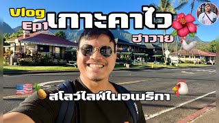 Vlog 🌺สโลว์ไลฟ์ที่เกาะคาไว รัฐฮาวายในอเมริกา 🇺🇸