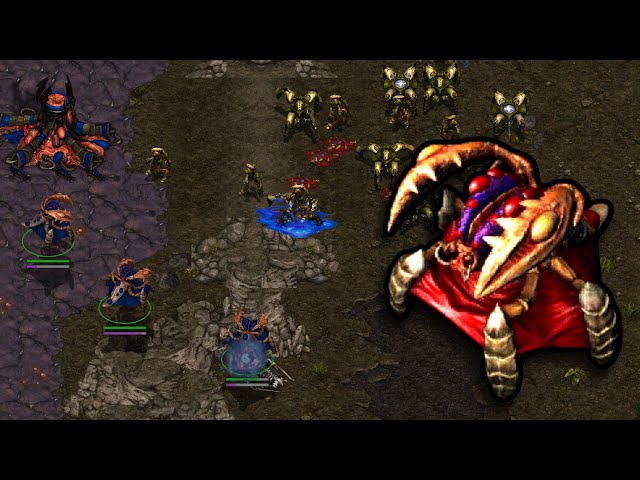 QUEENS VS PROTOSS????? | Ursa Brawl class=