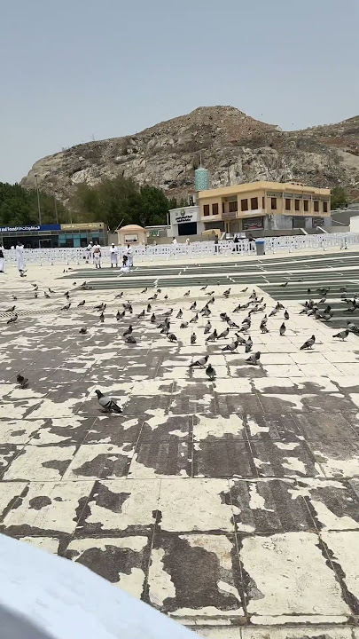 Ya Nabi Salam Alaika | House of Prophet Muhammad #shorts