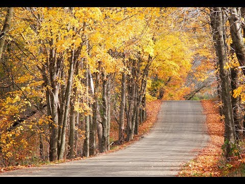 Herfst schoonheid