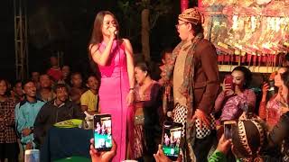 Vita Alvia - Lagi syantik - live ambulu sumberejo