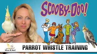 Scooby Doo Theme ~ Parrot Whistle Training