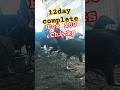 Starting a Poultry Farm Business with Just 100 Chicks | Day 12 | #vlog #minivlog #poultryfarming