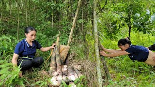 Single Mother Harvesting Bamboo Shoots and Being Taken Advantage of by Bad People