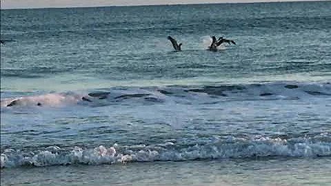 Glorious God by the Sea  by Victoria Phelps vpj
