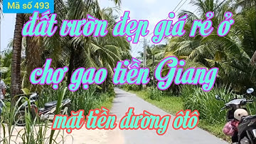 Chủ cần bán gấp đất vườn mặt tiền đường nhựa ở chợ gạo tiền Giang mã số 493