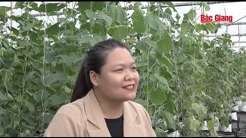 BẮC GIANG - ĐẨY MẠNH CHUYỂN ĐỔI SỐ NGAY TRONG CÁC HỢP TÁC XÃ !