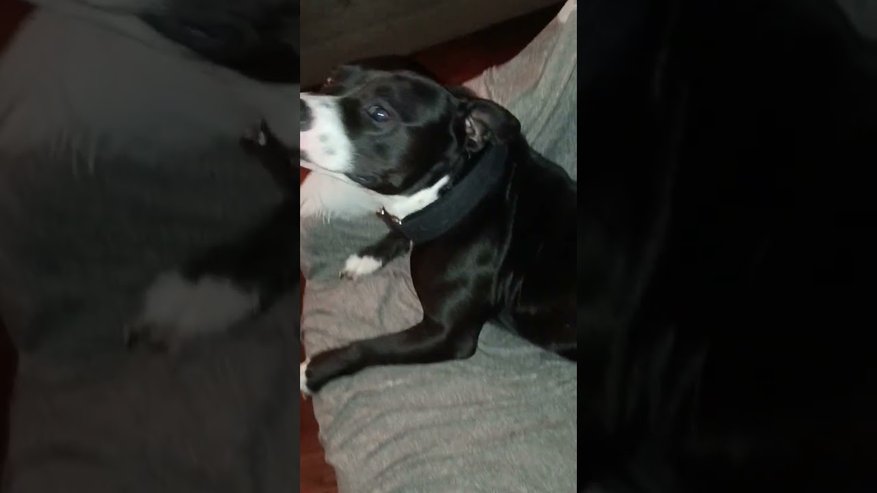 creepy eyes #scary #creapy #horrify #unnatural