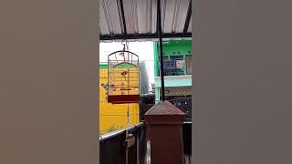 tarung poksay hongkong vs wambi.. ngrameni omah lurr