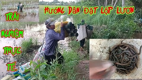 Hướng Dẫn Đặt Lợp Lươn, Trải Nghiệm Thực Tế..