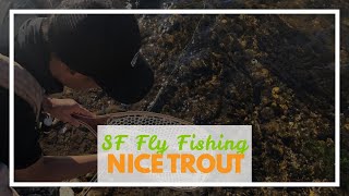 SF Fly Fishing Landing Net Soft Rubber Mesh Trout Net Catch and Release Net screenshot 3