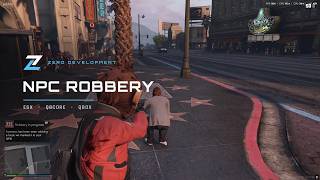 Zero Development | NPC Robbery