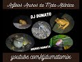 Dj dumato  hypes diboas elegans clip oficial